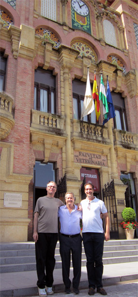 CCGIDIS 2011 :: CITEC - UCO, Spain